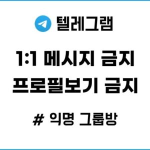 텔레그램 1:1 금지 및 프로필 없는 익명 그룹방